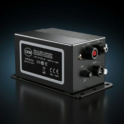 ODM PWM DC Buck Boost Converter 5v 2A برای خودرو